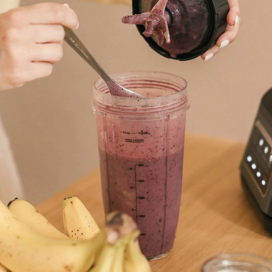 Açaí em Pó Natural Terramazonia Sem Conservantes Pote (200g)